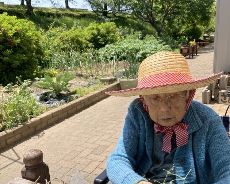 キッチン彩季　　　　　　　『グリンピース・スナップエンドウ』☆